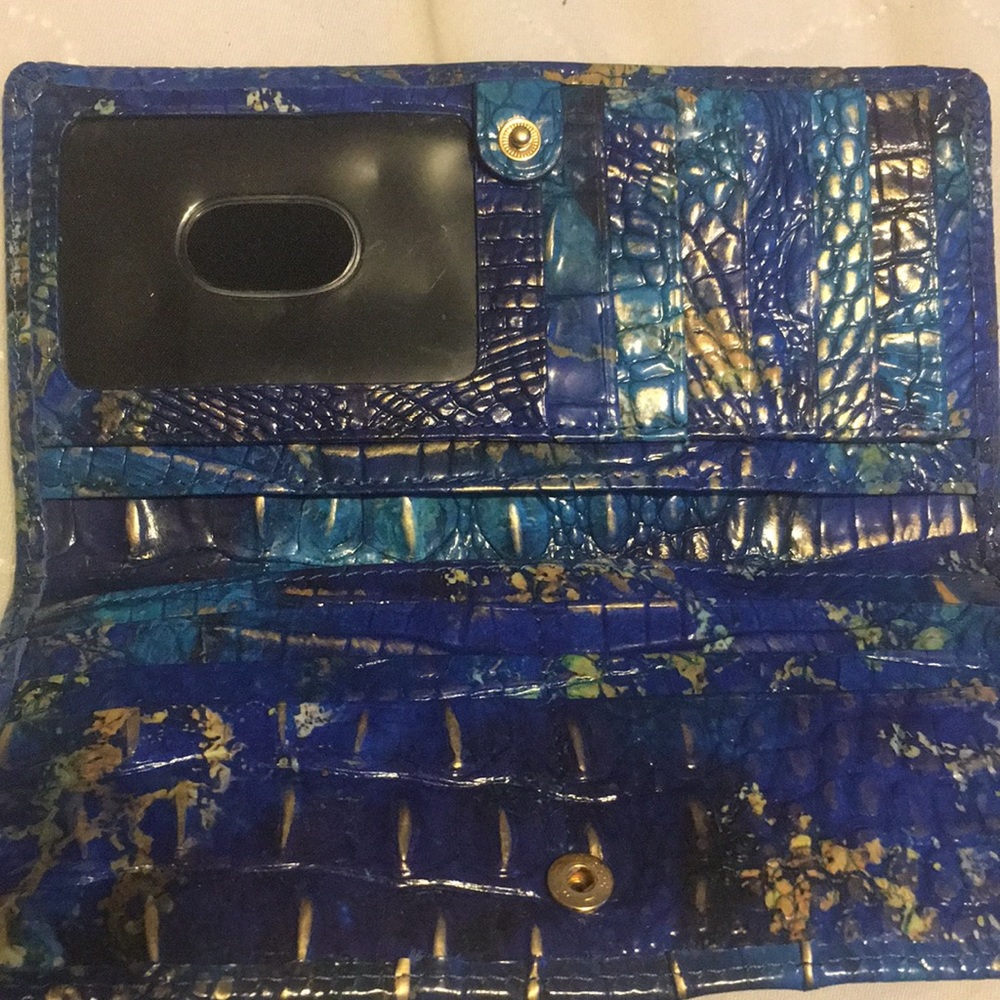 Brahmin - Picture 6 of 7